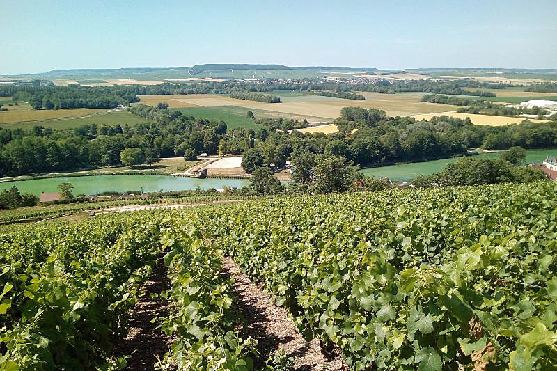 Enjoy the vineyards and a wine tasting on your Champagne barge cruise