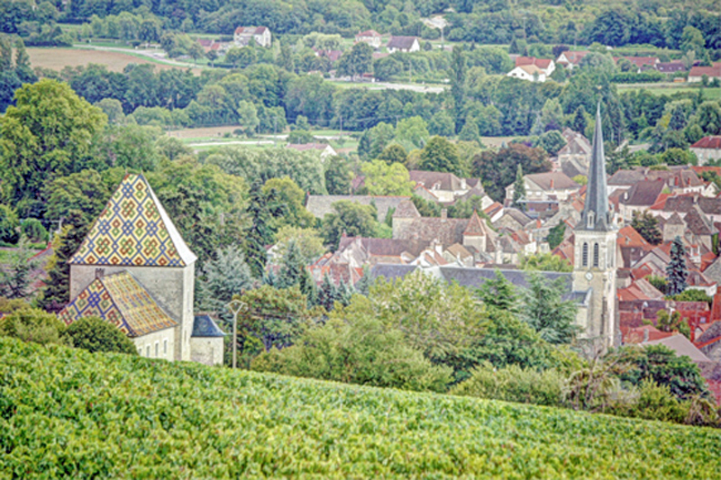 Photos : French Hotel Barge Finesse cruising in southern Burgundy France