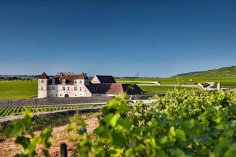 French Hotel Barge Finesse - Chateau du Clos de Vougeot