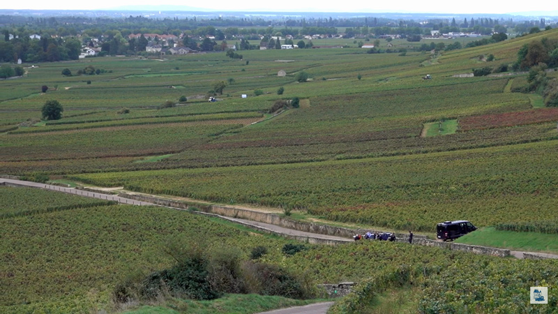 Domaine Chanson Vineyards - Barging in Burgundy France