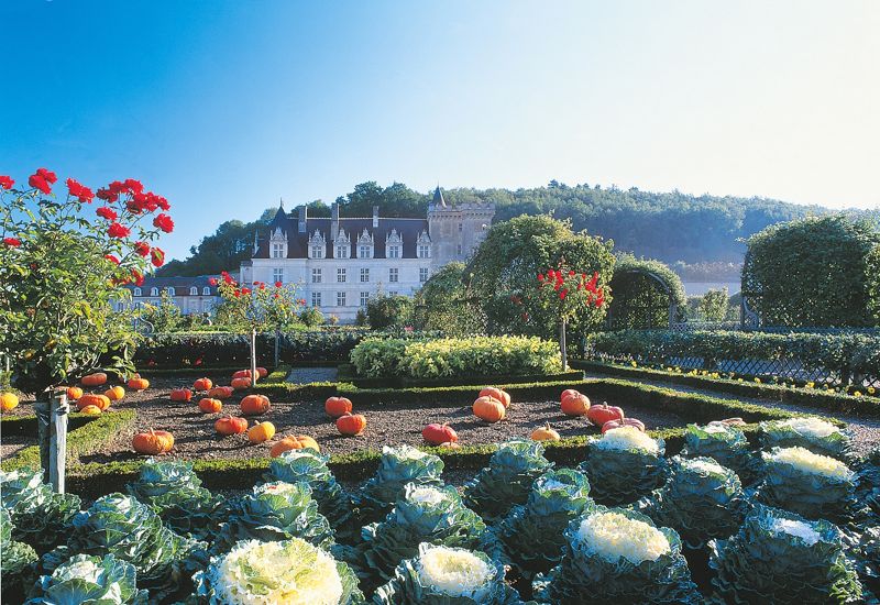 Villandry Gardens