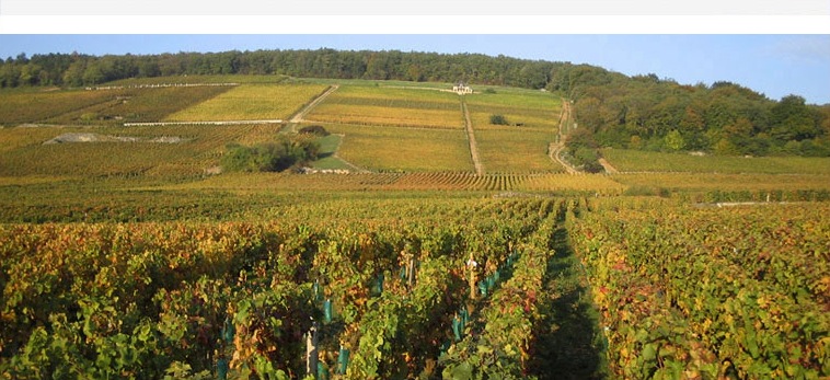 Domaine Ponsot - www.BargeCharters.com