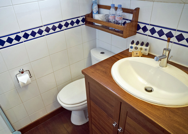 French Hotel Barge Athos - Guest cabin, ensuite head