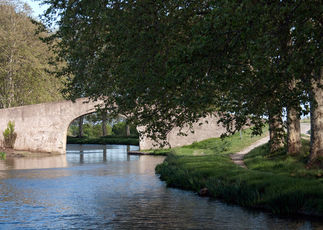 There are many picturesque bridges along the Canal du Midi