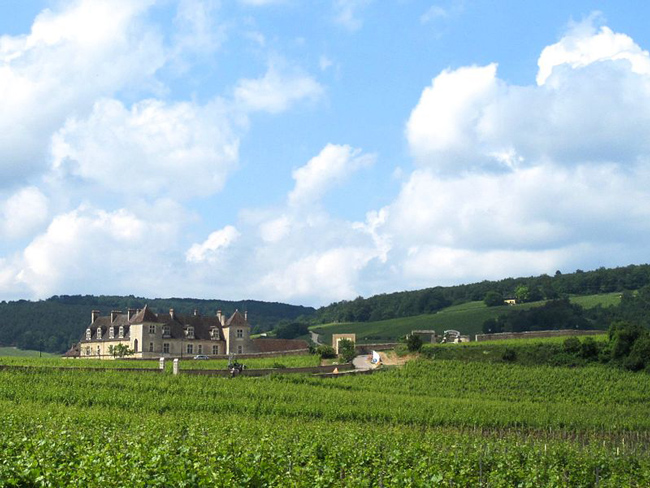 The Château Clos de Vougeot & vineyards, headquarters of the Chevaliers du Tastevin