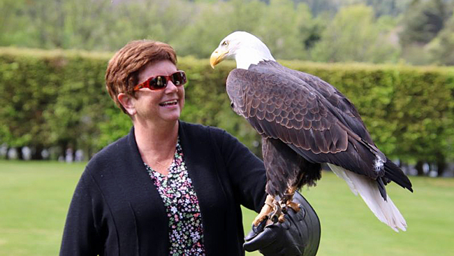 Falconry at Château de Commarin