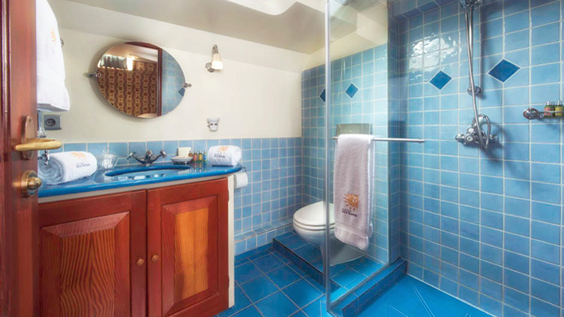 French Hotel Barge Roi Soleil - Private, ensuite bath