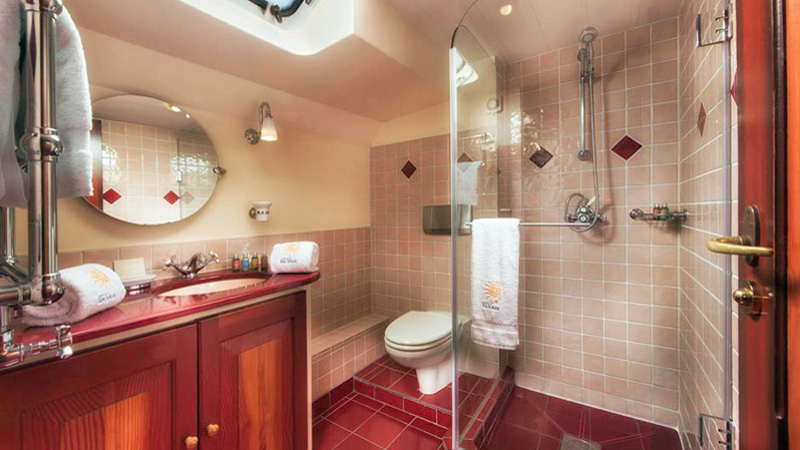 French Hotel Barge Roi Soleil - Private, ensuite bath