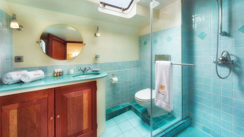 French Hotel Barge Roi Soleil - Private, ensuite bath
