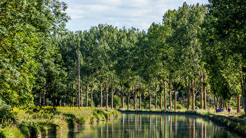 A bend in the Canal du Bourgogne (Burgundy Canal) France. Photo: ew