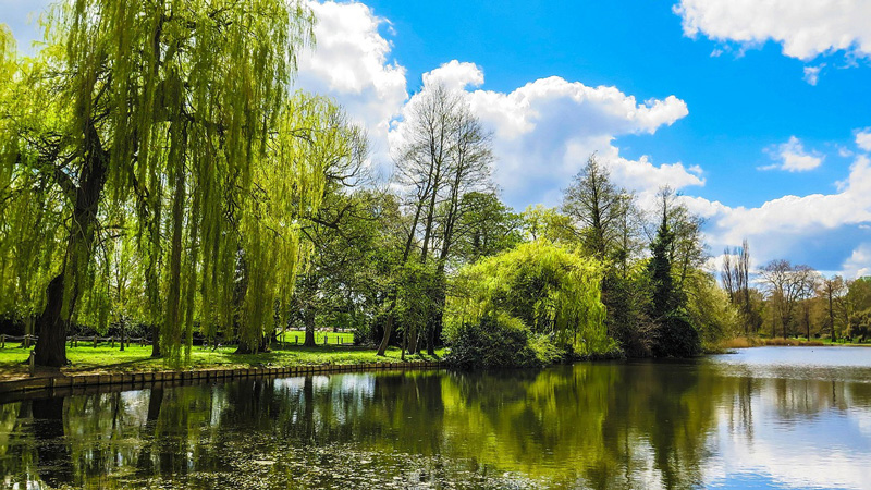 England - Lake in Runneymede. Photo: Pixabay - devonpasty1