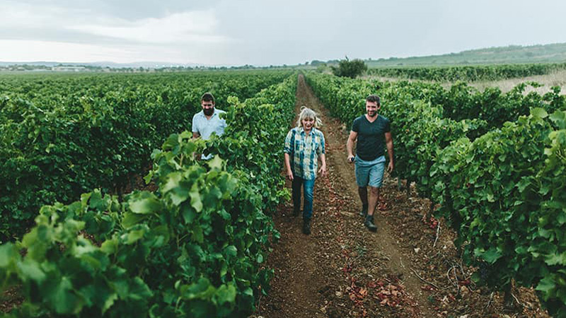 Château de Paraza - The family walks through the vineyard. Photo: Château de Paraza