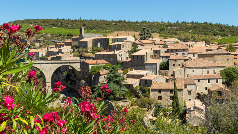 Minerve - flowers and town. Photo: ew