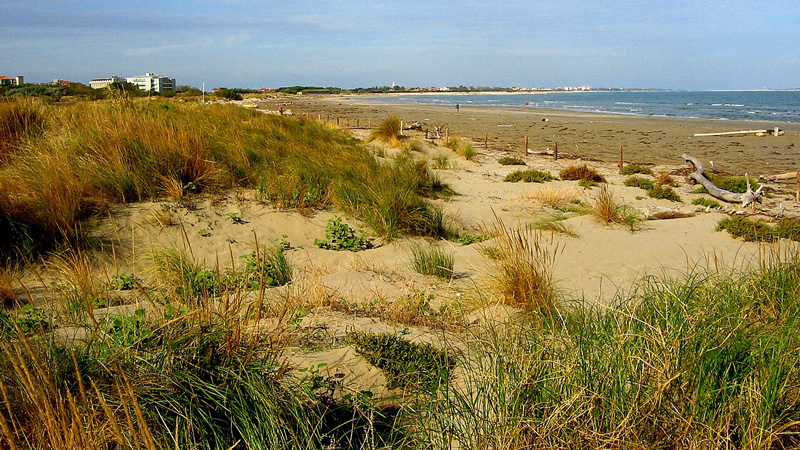 Italy - Alberoni Dune Oasis. Photo: Wikimedia Commons - Mariomega CC-SA 3.0