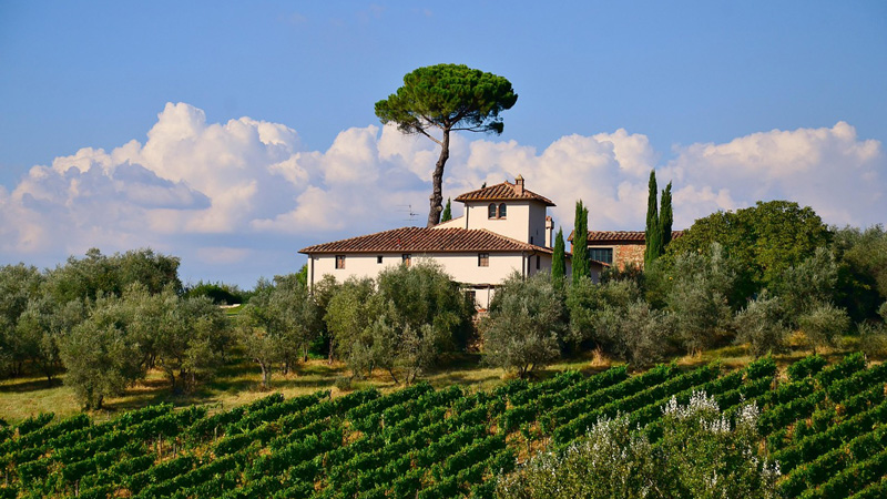 Italy - Tuscany vineyard. Photo: Pixabay - Marissa Todd